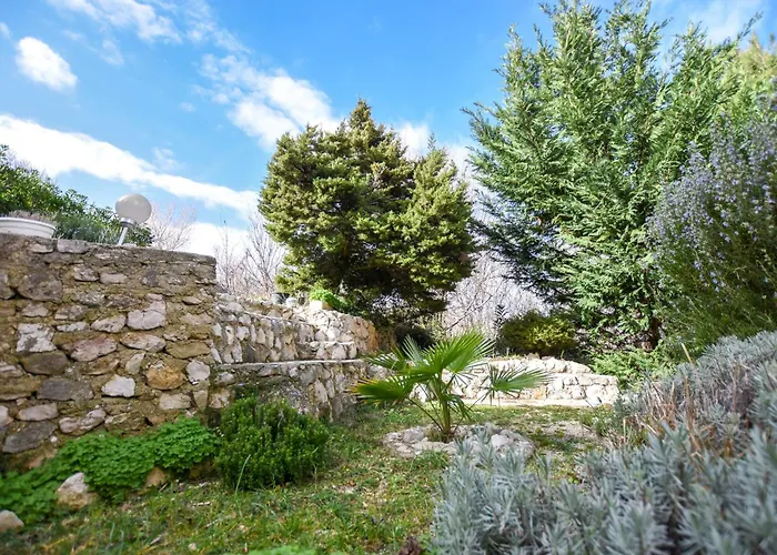 Rose Wind By Pag Tours