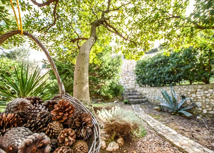 アパート Rose Wind By Pag Tours *