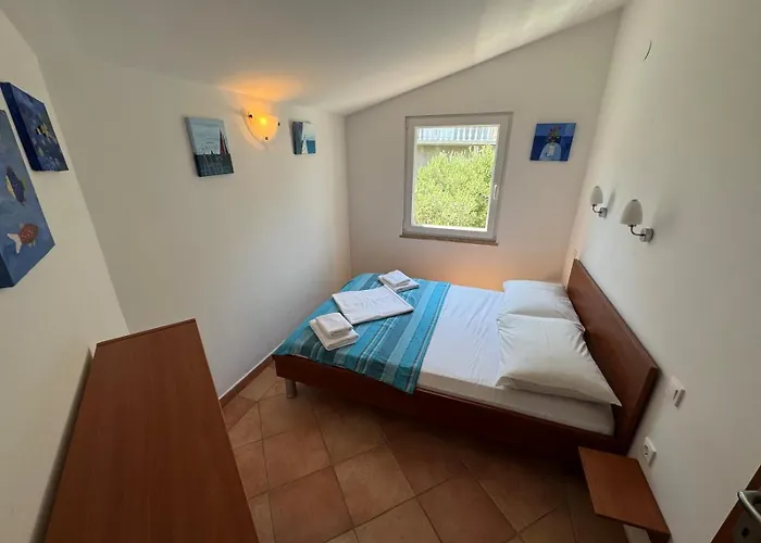 Rose Wind By Pag Tours