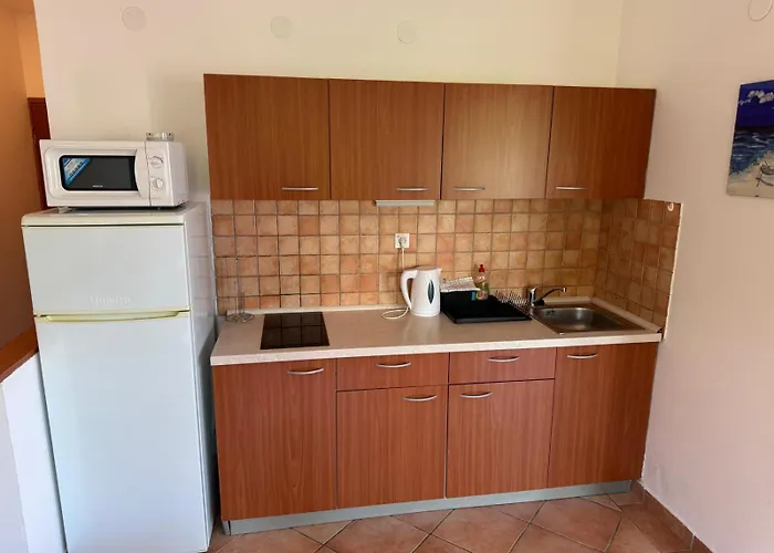 Rose Wind By Pag Tours パグ